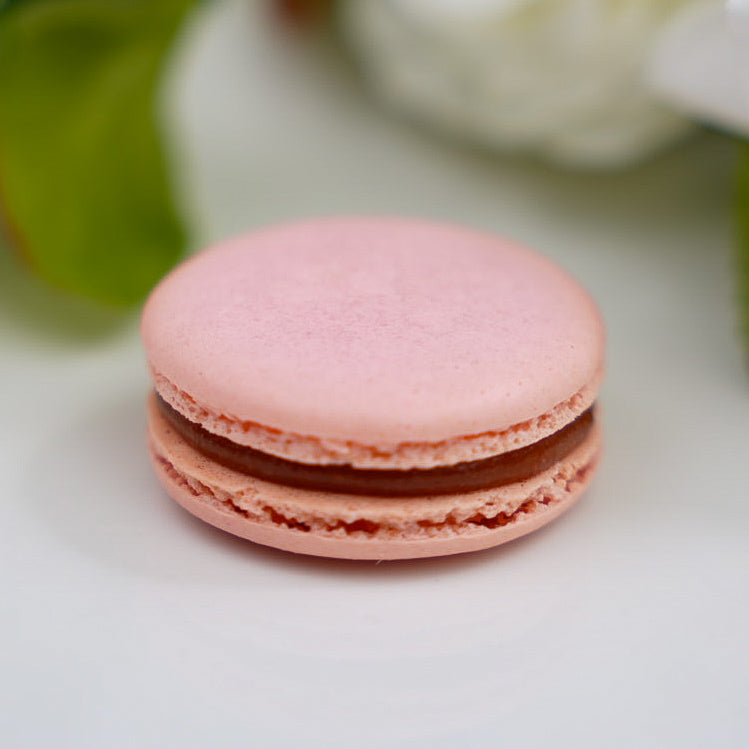 6ct Guava Macarons